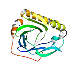 AU of 3bxt by Molmil