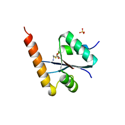 BU of 3c01 by Molmil