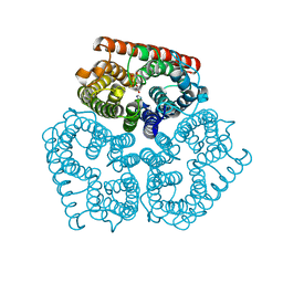 BU of 3c1j by Molmil