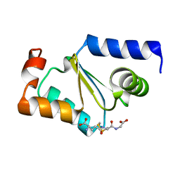 BU of 3c1s by Molmil