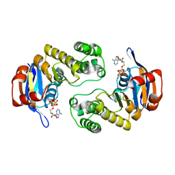 BU of 3c41 by Molmil