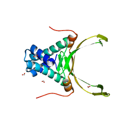 AU of 3c4i by Molmil