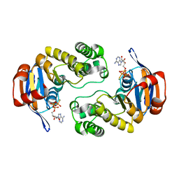 BU of 3c4j by Molmil