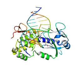 BU of 3c58 by Molmil