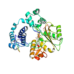 BU of 3c5g by Molmil