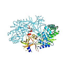 BU of 3c5q by Molmil