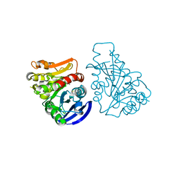 BU of 3c6b by Molmil