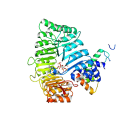 BU of 3c6o by Molmil