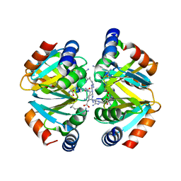 BU of 3cag by Molmil