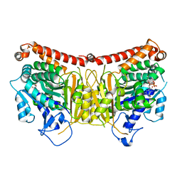 BU of 3cb2 by Molmil