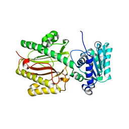 BU of 3cb6 by Molmil