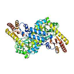 BU of 3cbf by Molmil