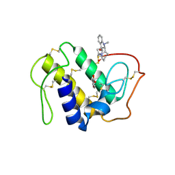 BU of 3cbi by Molmil