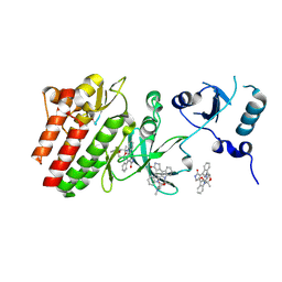 BU of 3cbl by Molmil