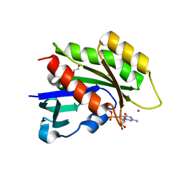 BU of 3cbq by Molmil