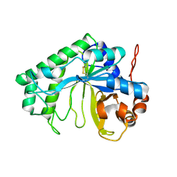 BU of 3cbw by Molmil