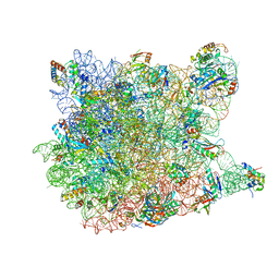 BU of 3cc4 by Molmil