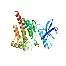 BU of 3cc6 by Molmil