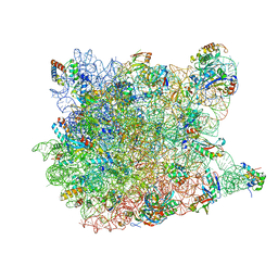 BU of 3cc7 by Molmil