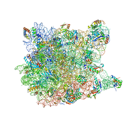 BU of 3ccl by Molmil