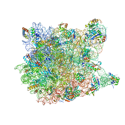 BU of 3ccm by Molmil