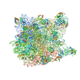 BU of 3ccq by Molmil