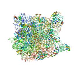 BU of 3ccr by Molmil