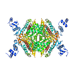 BU of 3cd5 by Molmil