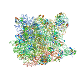 BU of 3cd6 by Molmil