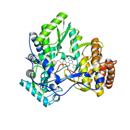 BU of 3cde by Molmil