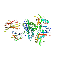 BU of 3cdg by Molmil