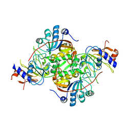 AU of 3cdk by Molmil