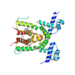 BU of 3cdl by Molmil