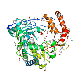 BU of 3cdw by Molmil