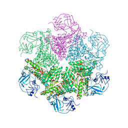 BU of 3cf1 by Molmil