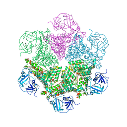 BU of 3cf3 by Molmil