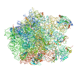 BU of 3cf5 by Molmil