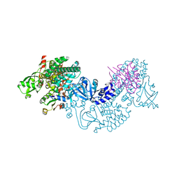 BU of 3cf6 by Molmil