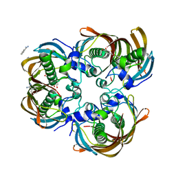 BU of 3cf8 by Molmil