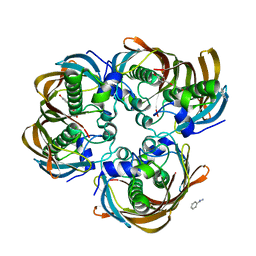 BU of 3cf9 by Molmil