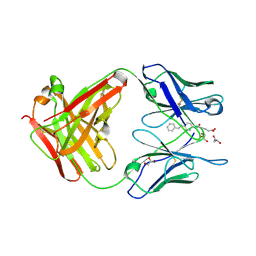 BU of 3cfb by Molmil