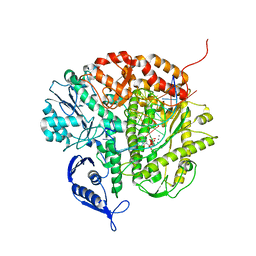 BU of 3cfr by Molmil