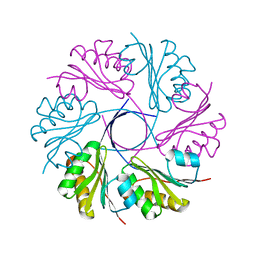 BU of 3cgi by Molmil