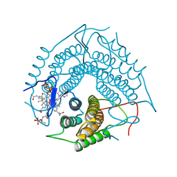 BU of 3ci1 by Molmil