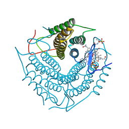 BU of 3ci3 by Molmil