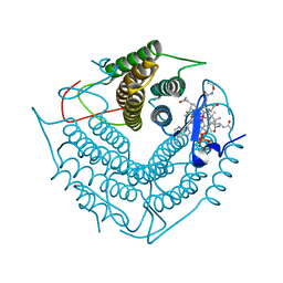 BU of 3ci4 by Molmil