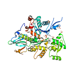 BU of 3cip by Molmil