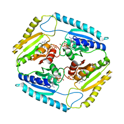 BU of 3cis by Molmil