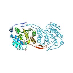 BU of 3ckv by Molmil