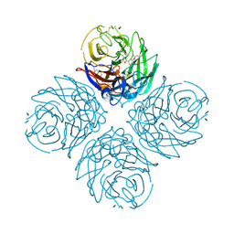 BU of 3cl0 by Molmil